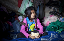 3 de cada 10 peruanos no comieron un día por falta de recursos en los últimos tres meses