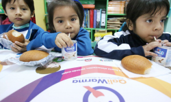 Miles de desayunos escolares de Qali Warma desechados a la basura