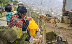 Aumenta la pobreza y golpea a más de 9 millones de peruanos 
